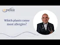 Which Plants Cause Most Allergies EP Premier Medical Group El Paso TX