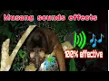 musang sounds effects/huni ng musang