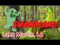 Alligator and HUGE Spiders Lake Martin Louisiana SWAMPLAND