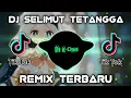 Download Lagu DJ SELIMUT TETANGGA - REPVBLIK - DJ VIRAL TIK TOK SLOW REMIX TERBARU 2023