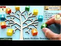 Day 1 ServiceNow HRSD Essentials - Introduction Plugins Profiles COEs HRSD ServiceNow