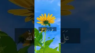 فضل الصلاة على النبي صلى الله عليه وسلم حالات واتس اب دينية قصيرة Quran 