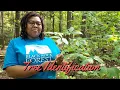 Tree Identification How to use a Dichotomous Key