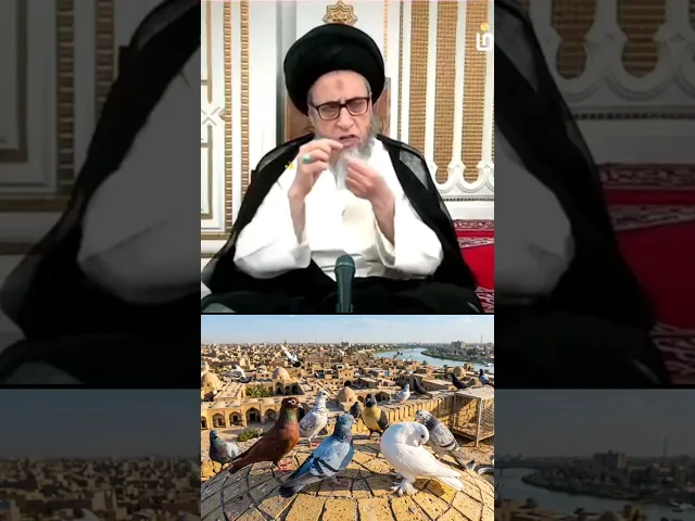 صيد الطيور. سيد صباح شبر