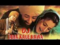 Download Lagu Udja Kale Kawa DJ Remix Song | Gadar Movie | Hindi dj gana | Wazir Ali Sitamarhi