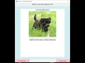 IMAGE CAPTION GENERATOR WITH GUI Natural Language Processing Andrej Karpathy LSTM