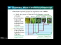 Chapter 18 2 Cladogram Notes