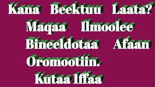MAQAA ILMOOLEE BINEELDOTAA AFAAN OROMOOTIIN Kutaa 1ffaa 