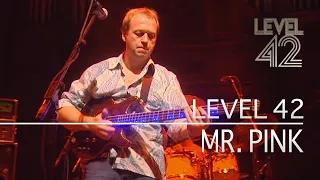 Download Level 42 - Mr. Pink (Live At Reading Concert Hall, 01.12.2001) MP3