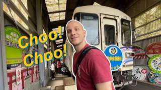 we drove a japanese train through the countryside 