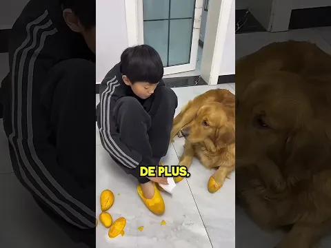 Le garçon a construit une piscine pour son chien 😲