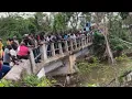 Lagu Live in lacovia st.Elizabeth Jamaica 🇯🇲 car go over Bridge