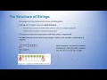 1436 Class Recording - Chapter 4 Strings 1