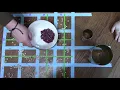 Population Estimation using the Peterson Method and a bunch of beans Revisited