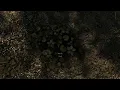 Khajiit caravan chest location outside Solitude