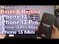How to iPhone Pro Factory Reset Forgot Passcode iPhone is Disabled Fix