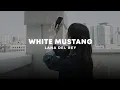 Download Lagu white mustang — lana del rey (slowed + reverb) tiktok version