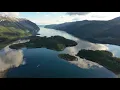 10 HOURS Relaxing Music with Bird Sounds, Piano Music for Sleeping, Studying and Relaxation