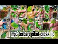 🔴Suara pikat burung cucak ijo‼️ paling ampuh dan dicari oleh para pemikat cucak ijo