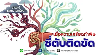 สาเหตุหลักของภาวะชี่ตับติดขัด คืออะไร และมีอาการอย่างไรบ้าง