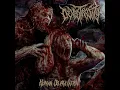 Download Lagu Devastrosity - Human Depravation (2024 NEW SINGLE)