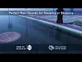 Perfect Rain Sounds (Black Screen) for Sleep, Studying | White Noise 10 Hours