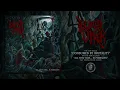 Download Lagu BLOOD OFFER (ITALY) - CONSUMED BY BRUTALITY (Single) - Iron Fortress Records 2025
