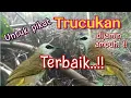 Download Lagu SUARA PIKAT TRUCUKAN RIBUT TERBAIK PALING AMPUH