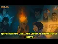 QHPS Naruto quedaba ciego al proteger a Hinata