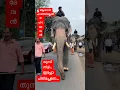 Download Lagu ആശാൻ പറഞ്ഞില്ലേൽ തുമ്പി നീട്ടി പിടിച്ചേനെ മഹാദേവൻ 😄, Vazhappally Mahadevan, Kuttikrishnan