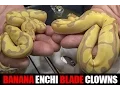 Enchi Blade Banana Clown Monarch Ball Python at 2016 Daytona Reptile Breeders Expo - Part 4