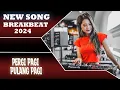 DJ PERGI PAGI PULANG PAGI BREAKBEAT VIRAL 2024 [ DOL FUNK ]