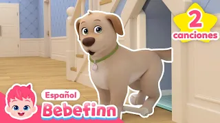 Jugando con Mandoo, un Perrito 🐶 | Canciones Infantiles | Bebefinn en español
