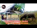 Download Lagu 🥎LAUK MUJUR VERSI GAMBUS TUNGGAL SASAK SAAT BERADA DI PENGARATAN KEBOX
