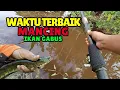 Download Lagu Waktu Terbaik untuk Mancing Ikan Gabus: Panduan Lengkap untuk Hasil Maksimal