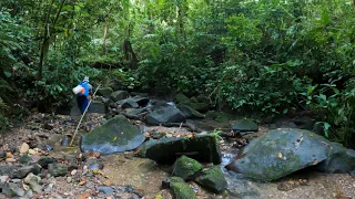 Download Petualang NgeCamp Di Hutan Rimba Bukan Sembarang Camping Overnight Petualangan Bushcraft Part 26 MP3