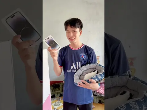 If it were you, what would you choose? A puppy or a phone? #shorts #cat #kitten #cats