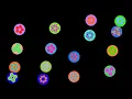 Recursive Circles Visual