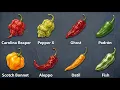 Every Chili Pepper Explained
