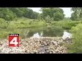 Residents upset after beaver family eithanized in Ann Arbor