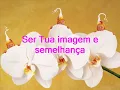 Playback- Aline Barros- Santidade