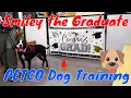 Smiley s Graduation from Petco s Adult Training 1