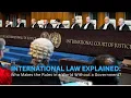 International Law: Norms, Treaties, and Enforcement in a World Without  Government