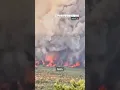 Homes destroyed by fires on UK s hottest day