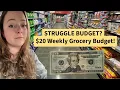 Download Lagu $20 Weekly Grocery Budget 