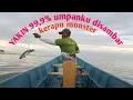Download Lagu KEYAKINANKU 99,9%,saya dapat KERAPU MONSTER,👍👍👍 MP3