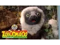 Download Lagu Zoboomafoo 219 - Messy and Clean (Full Episode)
