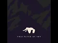 Pale Lights (The Echelon Effect Remix)
