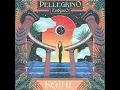 Download Lagu Pellegrino \u0026 Zodyaco - Saditè [EAS025]