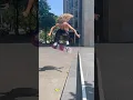 heelflipssss